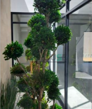 Captura de Pantalla 2023-06-22 a la(s) 12.53.19