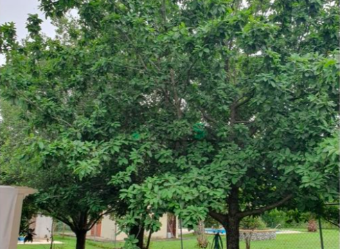 Captura de Pantalla 2023-06-22 a la(s) 13.32.24